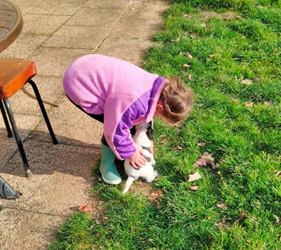 Elevage de chiens en semi-liberté dans la campagne champenoise